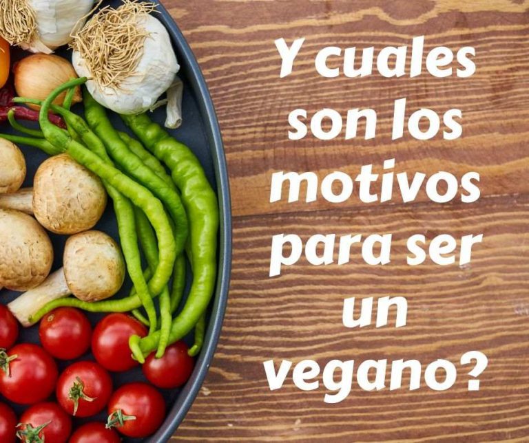 ¿Qué Es Veganismo? - Dra. Vegana