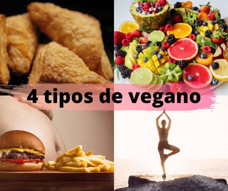 ¿qué Es Veganismo Dra Veganaemk 0046