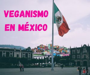 veganismo en Mexico bandera
