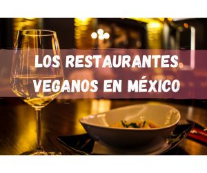 restaurantes veganos en mexico