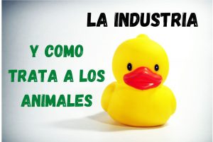 un pato de baño y la industria