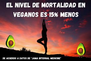 yoga en atardecer vegan