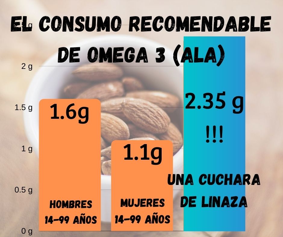 Omega 3 Vegano Guía Completa Dra. Vegana