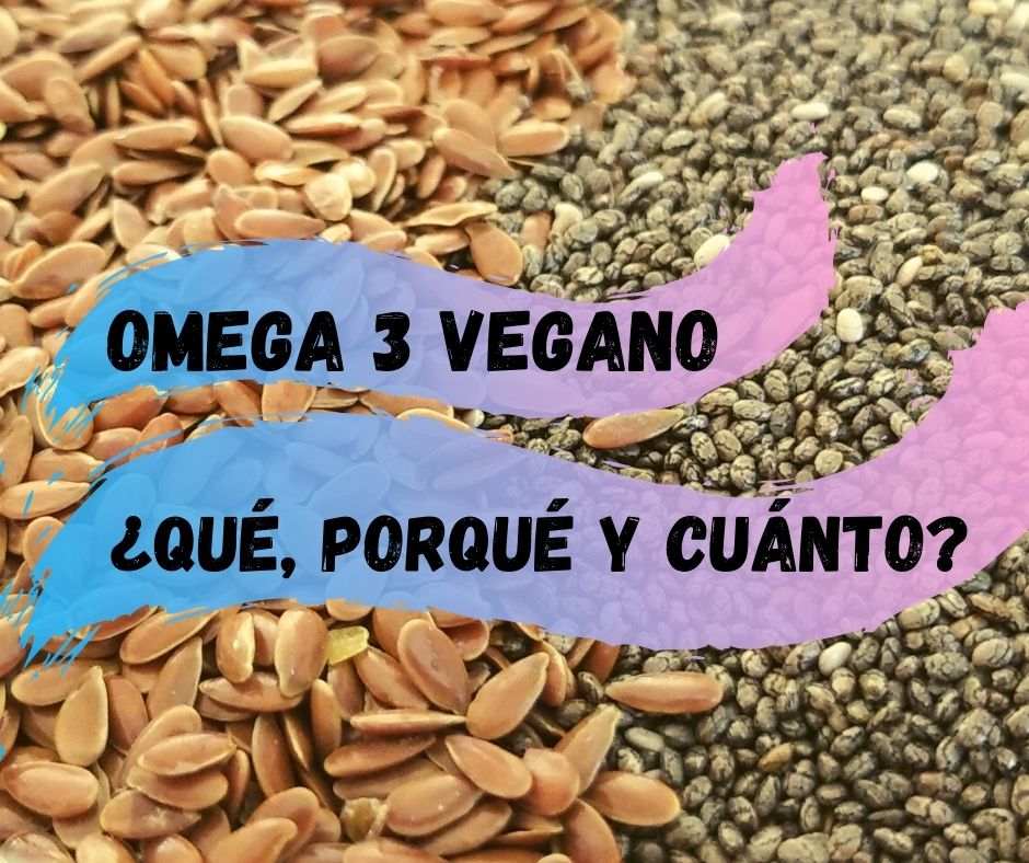 Omega 3 Vegano Gu a Completa Dra. Vegana