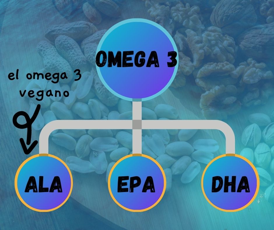 Omega 3 Vegano Guía Completa Dra. Vegana