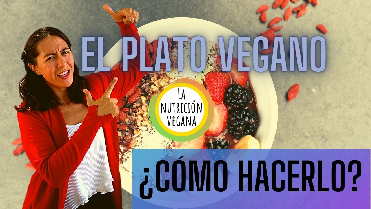 Platos Veganos Perfectos Y Fáciles 10 Recetas Dra Vegana 6641