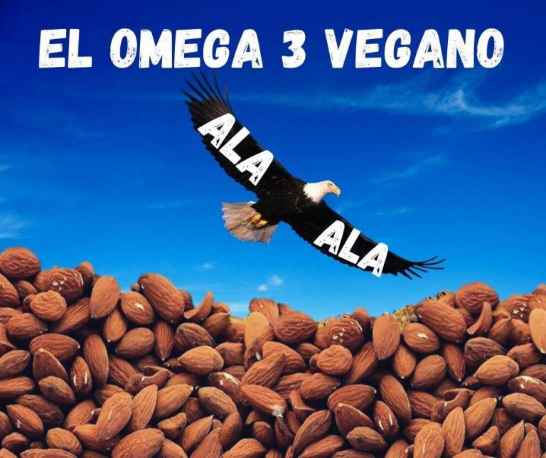 Omega 3 Vegano Guía Completa Dra. Vegana