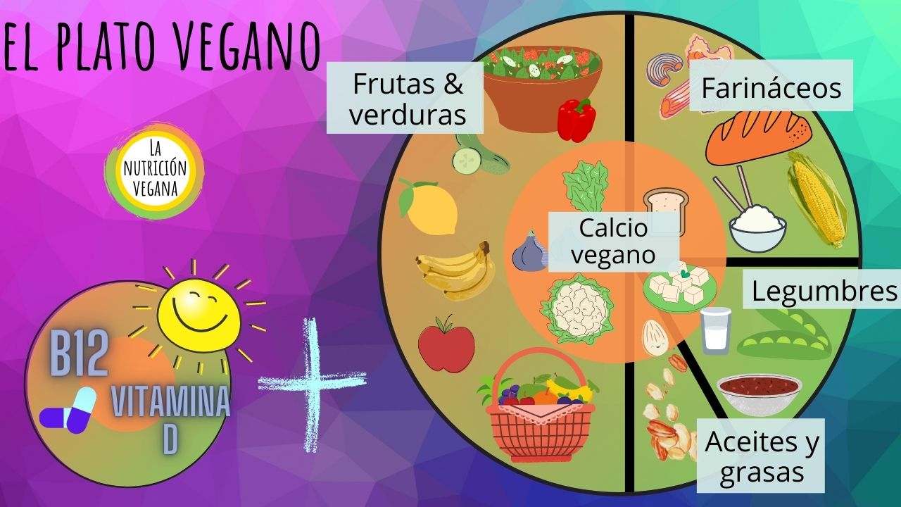 Platos Veganos Perfectos Y Fáciles 10 Recetas Dra Vegana 4655